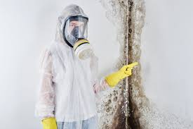 Best Commercial Mold Inspection in Plumas Lake, CA